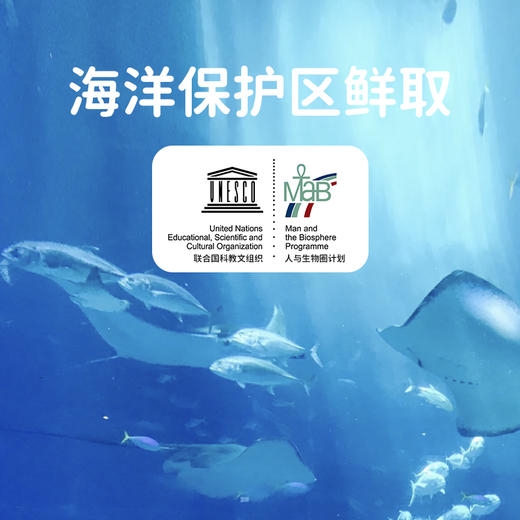 绿鼻子海盐水鼻喷剂100ml 鼻腔喷雾婴幼儿鼻塞洗鼻儿童专用-清仓【春季护鼻专场】 商品图3
