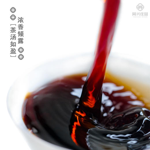 红票·同兴400g/饼【BN】 商品图3