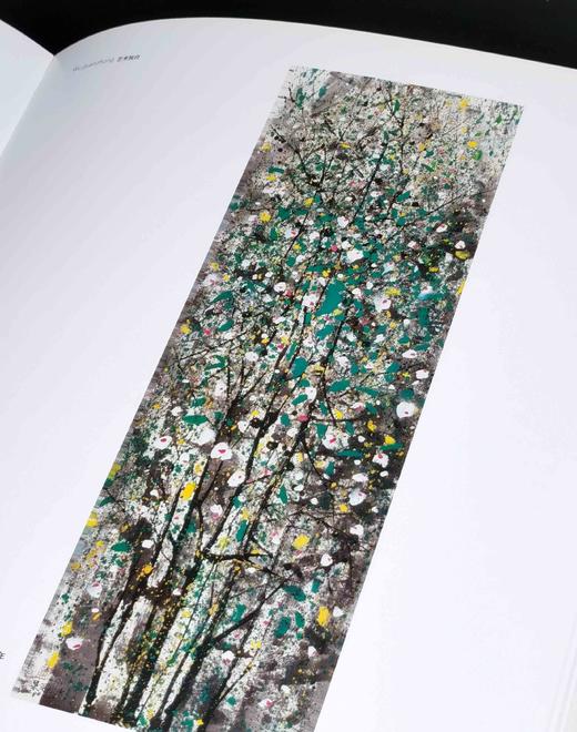 绝版！！《世界艺术大师：吴冠中（续）》，8开，平装，铜版彩印，吴冠中著，吴可雨编，河北美术出版社2010年一版一印，248页，定价160，售价88元。品9-9.5成。 商品图7