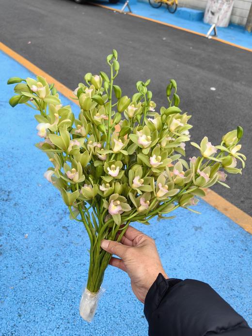 精品小花蕙兰春日鲜切花 商品图2