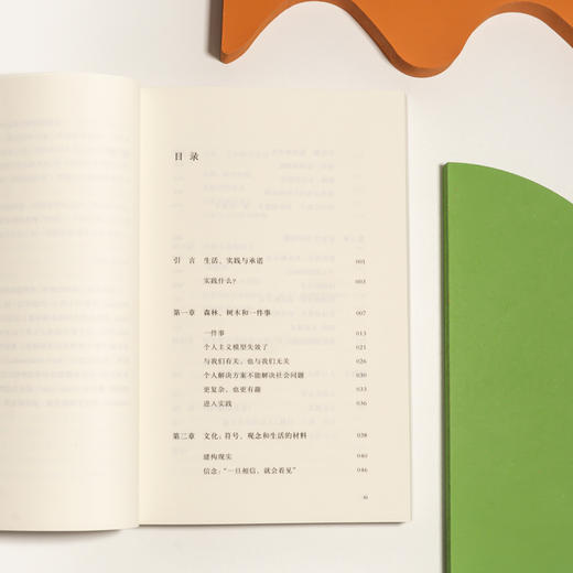 非刷边版《见树又见林：社会学作为生活、实践与承诺》（美）艾伦·G. 约翰逊 著 再版经典社会学入门书 商品图2