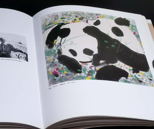 绝版！！《世界艺术大师：吴冠中（续）》，8开，平装，铜版彩印，吴冠中著，吴可雨编，河北美术出版社2010年一版一印，248页，定价160，售价88元。品9-9.5成。 商品图9