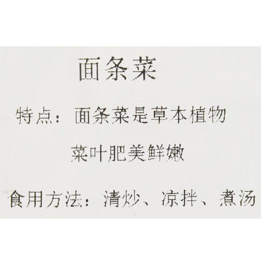 面条菜200g 商品图4