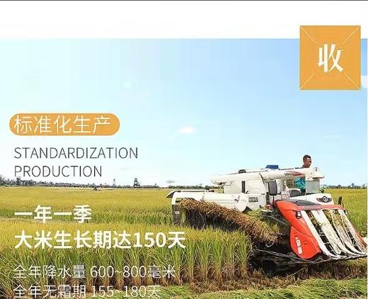 HEB富硒大米5Kg 商品图3