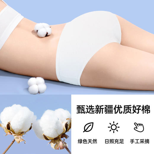 严选 | GRAREY格瑞亚 纯棉日抛内裤7条 M-3XL 7种颜色 一周不同色 商品图12