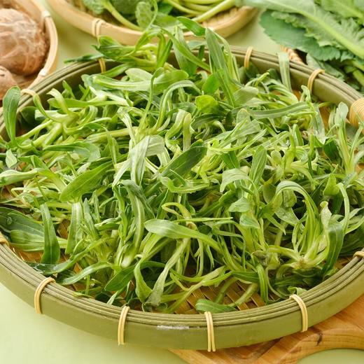 面条菜200g 商品图0