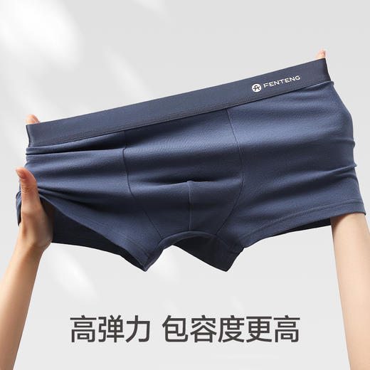 3条特惠 芬腾95%棉男士内裤 A-4545 商品图3