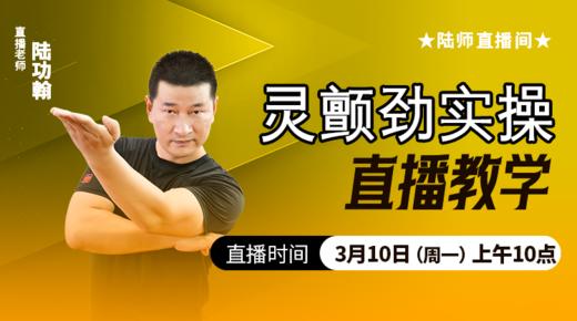 灵颤劲实操（直播教学）陆师亲授 商品图0