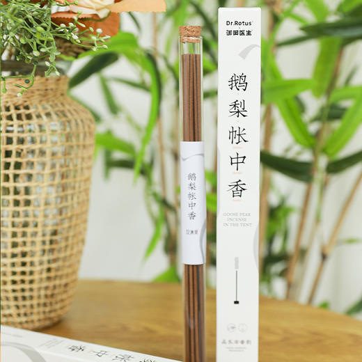 仪沁集鹅梨帐中香熏香线香 商品图5
