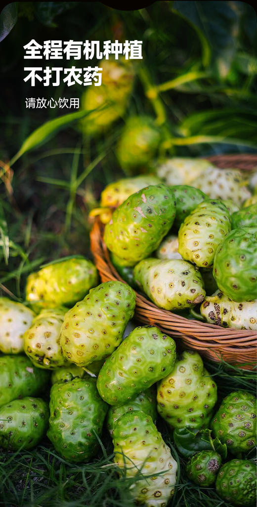 【有机诺丽酵素原液、诺丽蓝莓果饮】 有机种植 不打农药 自然发酵放心饮用【AA】 商品图7