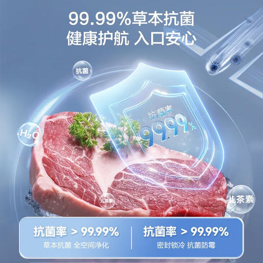 容声（Ronshen）301升 大容量冰柜 单温冷柜 大冷冻力 减霜80%  带轮带菜篮 一级能效 4DS速冻系统 PCM内胆 BD/BC-301ZEAM/RX 商品图6