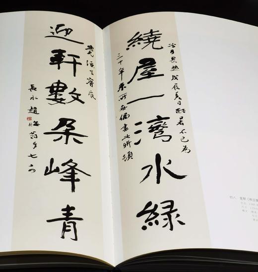 绝版稀见！！《赵冷月书法集》，正8开，布面精装，全2册，赵冷月著，沃兴华编，荣宝斋出版社2015年一版一印，358页，定价1280，售价298元。 商品图13