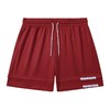 有志者UZIS针织网眼速干运动短裤男夏季新款篮球跑步四分球裤积木 商品缩略图7