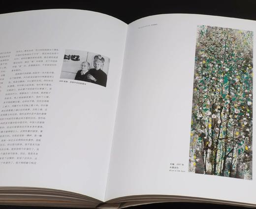 绝版！！《世界艺术大师：吴冠中（续）》，8开，平装，铜版彩印，吴冠中著，吴可雨编，河北美术出版社2010年一版一印，248页，定价160，售价88元。品9-9.5成。 商品图6