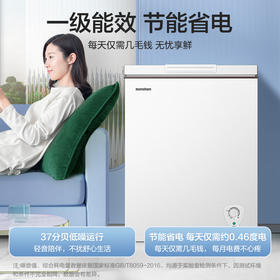容声（Ronshen）145升 减霜80% 小冰柜 家用冷藏冷冻转换 卧式冷柜 一级能效BD/BC-145ZMSMB