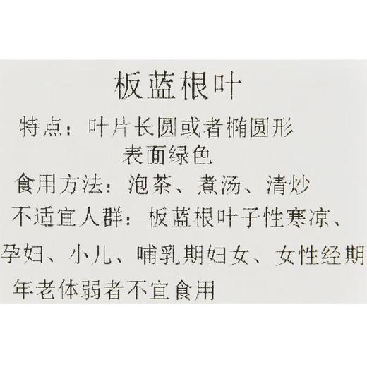 板蓝根叶200g 商品图4