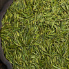 醒世茶业丨早春雀舌2号 绿茶 四川宜宾早茶 特级 50g 罐装 商品缩略图1