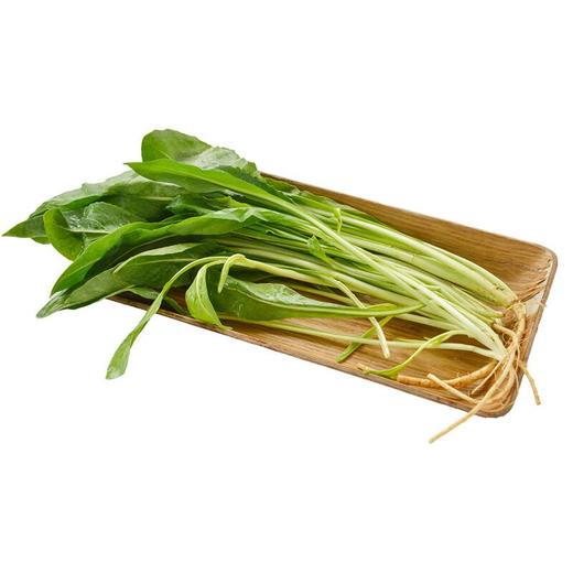 板蓝根叶200g 商品图2