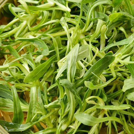 面条菜200g 商品图1