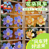 户外春天花朵风车手工diy儿童制作材料包幼儿园旋转装饰玩具环创 商品缩略图2