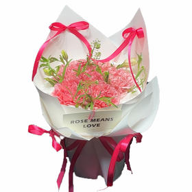 情语花艺【萌动女神】粉色康乃馨7朵 混搭鲜花花束（17点前下单当日送达,可备注送货时间）