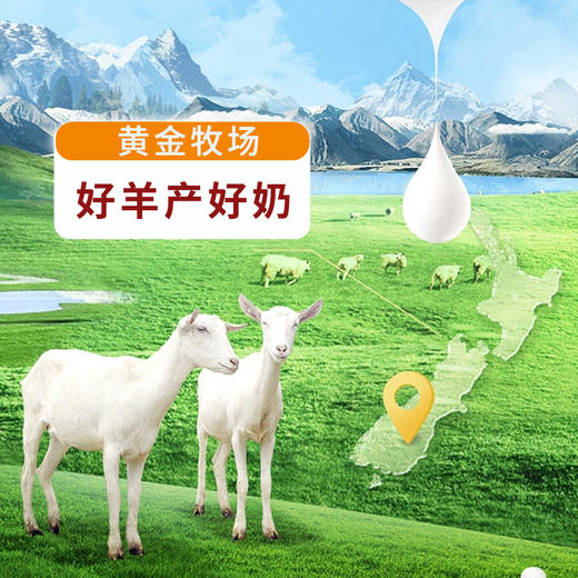 【配料只有生羊乳 0添加】食尚丝路全脂纯羊奶粉高钙无蔗糖320ml/盒 商品图4