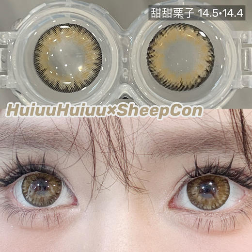 【大直径】Sheepcon-迷人烟灰/甜甜栗子/酒心软糖/焦茶蔷薇/性感芥末-14.5mm【年抛 0-1000度 含有525/575】 商品图5