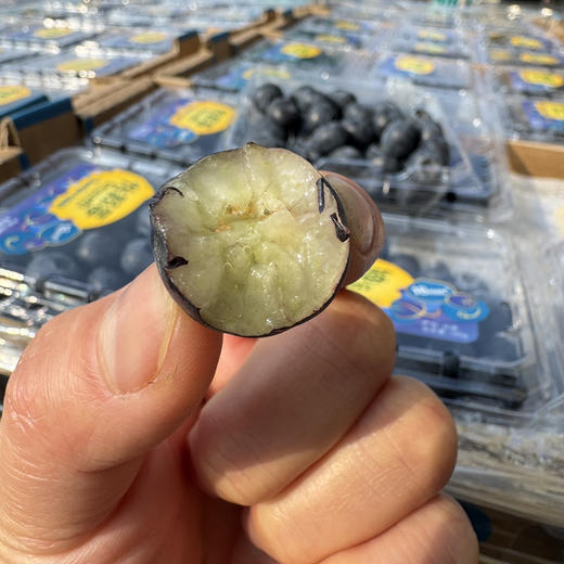 怡颗莓限量版18+蓝莓 商品图6