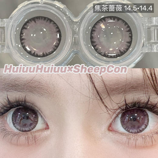 【大直径】Sheepcon-迷人烟灰/甜甜栗子/酒心软糖/焦茶蔷薇/性感芥末-14.5mm【年抛 0-1000度 含有525/575】 商品图4
