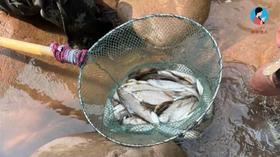  2025茶山日记8｜游江渔鱼，观山万壑 