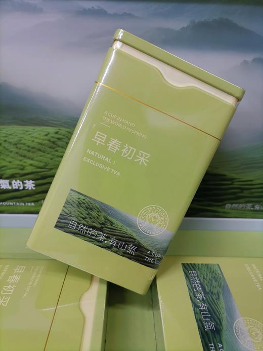 八乡早春初采绿茶 商品图3