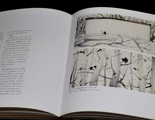 绝版！！《世界艺术大师：吴冠中（续）》，8开，平装，铜版彩印，吴冠中著，吴可雨编，河北美术出版社2010年一版一印，248页，定价160，售价88元。品9-9.5成。 商品图13