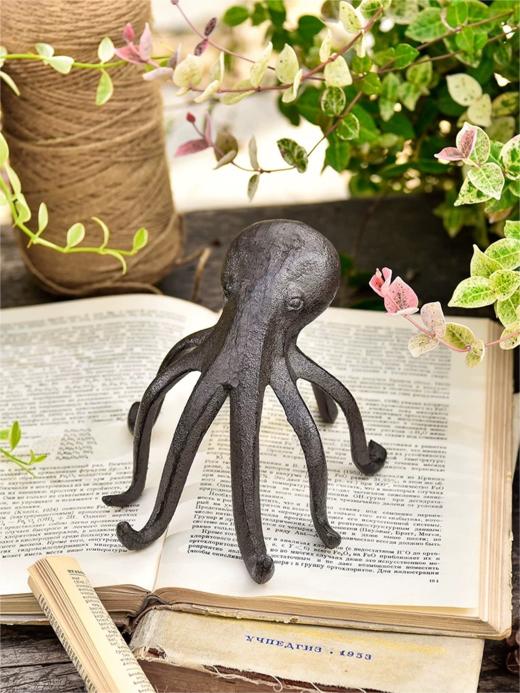 铸铁章鱼 商品图0