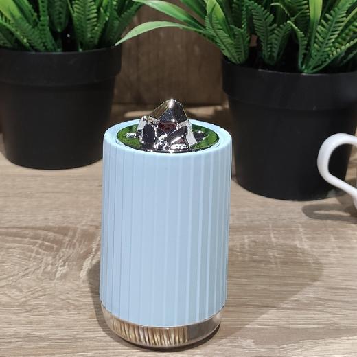 振兴K-2677钻石永恒罐装牙签（300支） 商品图0