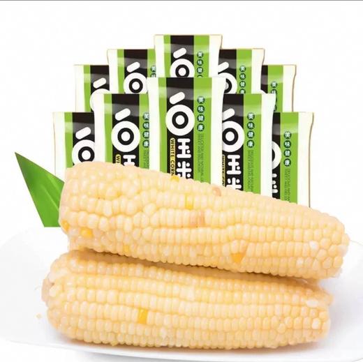 黑龙江糯玉米 白玉米 300g/根（保质期到2025年8月26日，介意勿拍） 商品图0