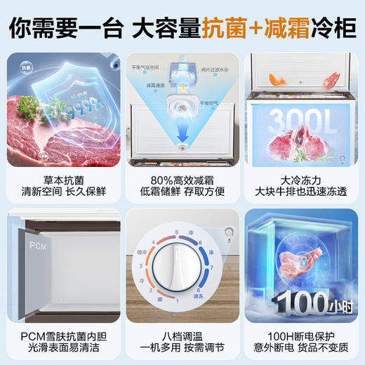 容声（Ronshen）301升 大容量冰柜 单温冷柜 大冷冻力 减霜80%  带轮带菜篮 一级能效 4DS速冻系统 PCM内胆 BD/BC-301ZEAM/RX 商品图1