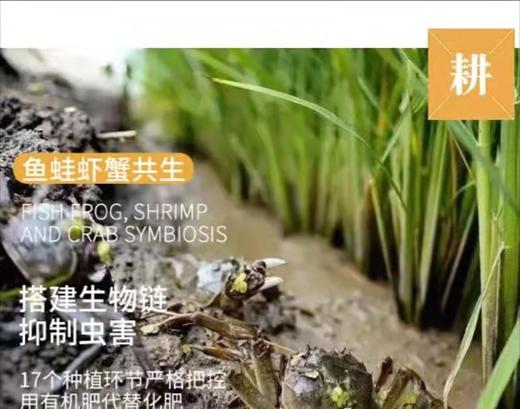 HEB富硒大米5Kg 商品图2