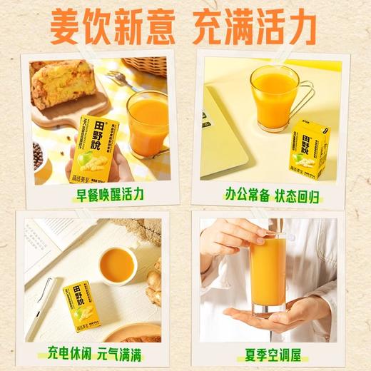 田野说姜汁NFC生姜复合果蔬汁 酸酸甜甜 冷暖滋润 商品图3