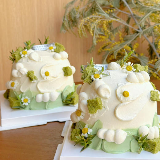 春之减糖系列：花语。抹茶开心果口味 商品图11