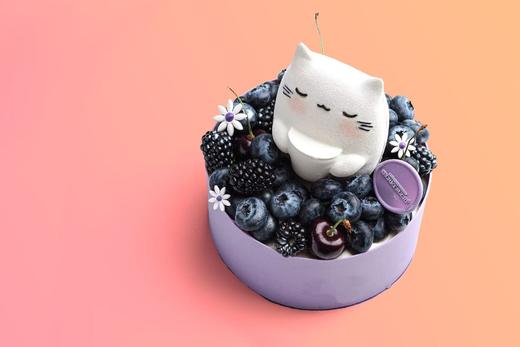 猫咪的浆果花园 商品图3