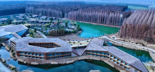 高铁江南,江苏盐城-住进水上森林,赏世界四大花海之一,全程美食,人文放松之旅|5~14岁亲子 商品图3