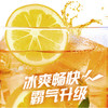 统一冰红茶柠檬味饮料添加真实柠檬汁冰爽解渴聚会佐餐搭档500ml/瓶 商品缩略图2