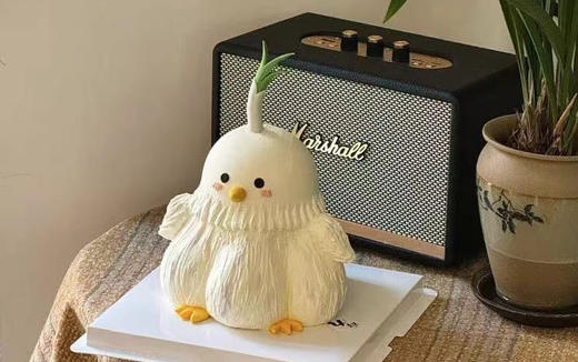 你蒜什么鸟 商品图0