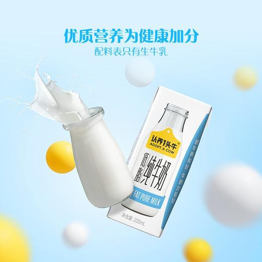 认养一头牛早餐营养低脂纯牛奶200ml*10/20/30盒低脂肪牛乳 商品图0