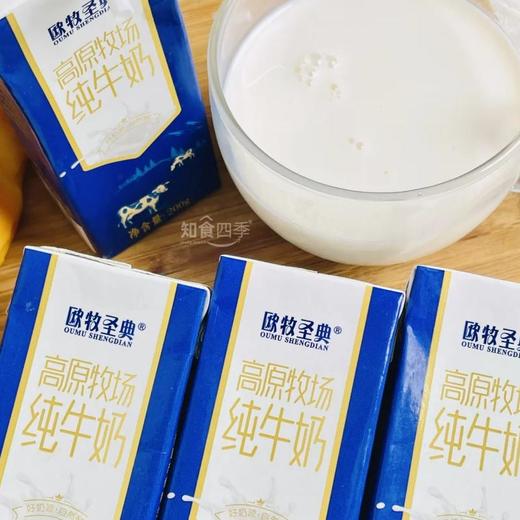 【超值6箱99元】欧牧圣典高原牧场纯牛奶 宁夏贺兰山下优质奶源  只有生牛乳每一口都是纯粹的营养 商品图0
