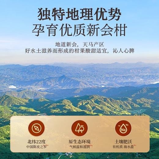 新会原产老树陈皮 商品图2