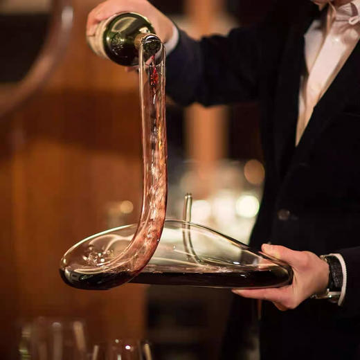 RIEDEL大蟒蛇醒酒器水晶人工吹制个性创意欧式轻奢高档进口 商品图2