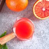 【应季好物】塔罗科血橙麻阳果冻橙子新鲜水果当季冰糖手剥多汁 商品缩略图3