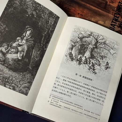【附赠藏书票】九三年（插图珍藏版）法国浪漫主义文豪雨果封笔之作 民主战争法国大革命 世界经典名著 后浪正版现货 商品图1