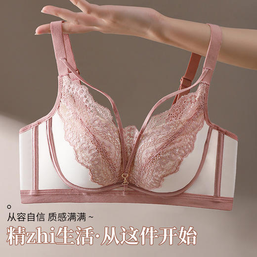 新款珍珠蛋白里布养护bra聚拢唯美蕾丝深V无痕文胸 6209# 商品图1